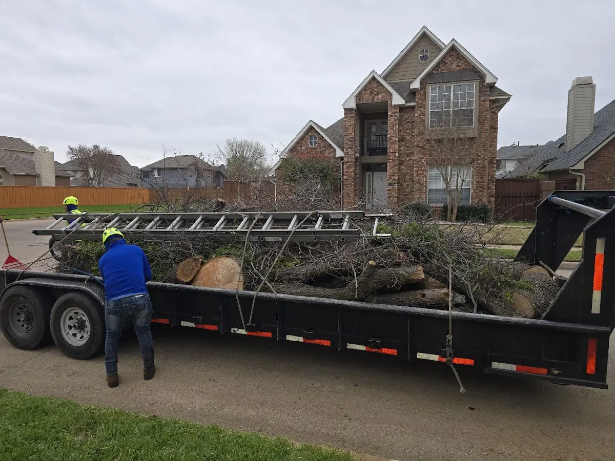 Expert Tree Fertilization with proper safety equipment in Holland